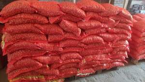 Лук севок Триумф 10кг (Netherlands)