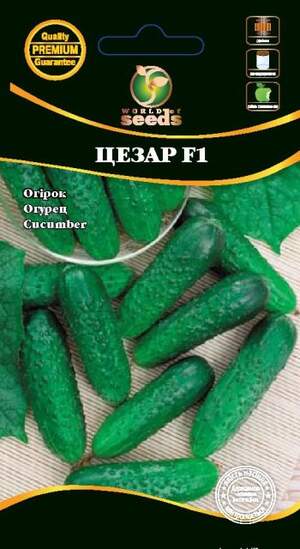 Огурец Цезарь F1 0,5г WoS Огурец Цезарь F1 0,5г WoS