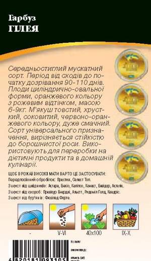 Тыква Гилея 3г WoS Тыква Гилея 3г WoS
