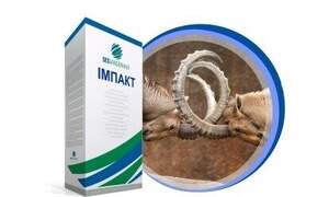 Свекла сахарная дражированная "Импакт" (драже) 1кг