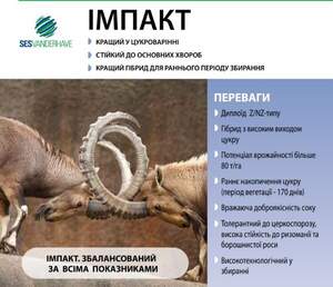 Свекла сахарная дражированная "Импакт" (драже) 1кг