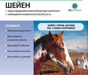 Свекла сахарная дражированная "Шейен" (драже)!