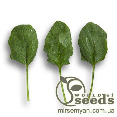 Шпинат Боа F1 25 000 семян. (Rijk Zwaan) Шпинат Боа F1 25 000 семян. (Rijk Zwaan)