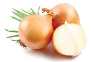 Семена Лука Алмадон 1 г. WoS