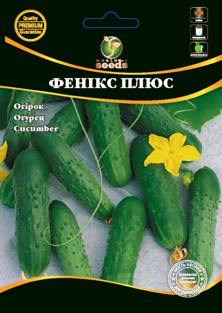 Огурец Феникс Плюс F1 4г WoS Огурец Феникс Плюс F1 4г WoS