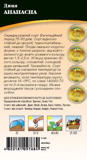 Дыня Ананасная 15 семян. WoS