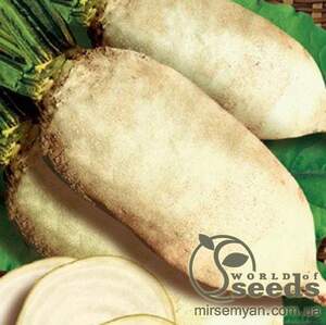 Свекла Центаур Поли кормовая 20кг Original