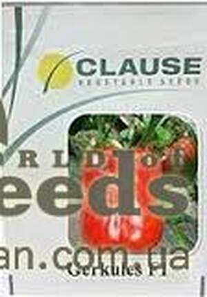 Перец Геркулес F1 50 гр. (Clause) Перец Геркулес F1 50 гр. (Clause)