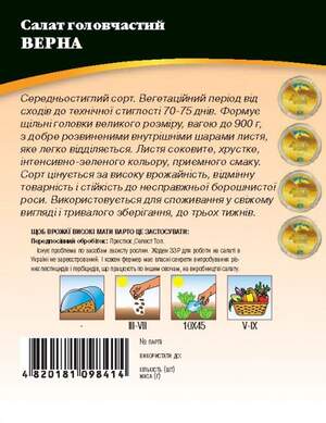 Салат Верно 4г WoS Салат Верно 4г WoS