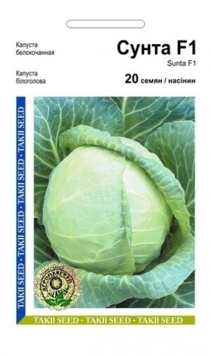 Капуста Сунта F1 20с. А Капуста Сунта F1 20с. А