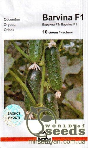 Огурец Барвина 10 семян. А Огурец Барвина 10 семян. А