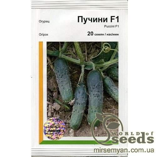 Огурец Пуччини F1 20 семян. А Огурец Пуччини F1 20 семян. А