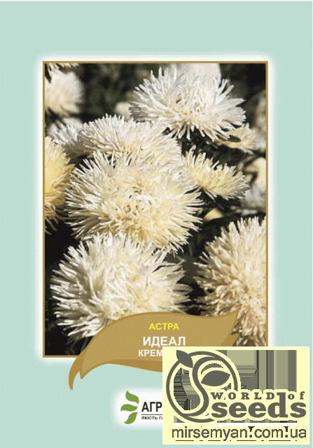 Астра Идеал кремовая 0,1г А Астра Идеал кремовая 0,1г А