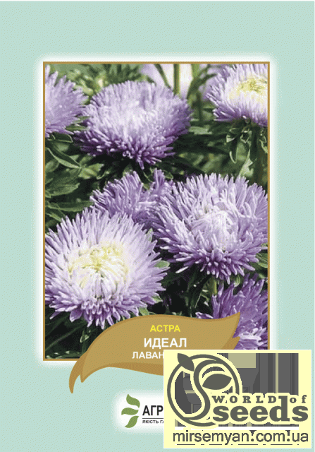 Астра Идеал лавандовая 0,1г А Астра Идеал лавандовая 0,1г А