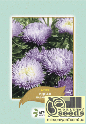 Астра Идеал лавандовая 0,1г А Астра Идеал лавандовая 0,1г А