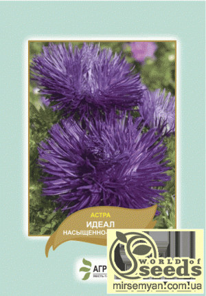 Астра Идеал насыщенно-лиловая 0,1г А Астра Идеал насыщенно-лиловая 0,1г А