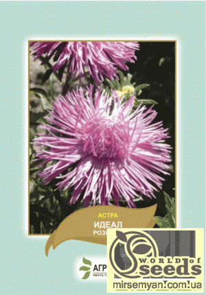 Астра Идеал розовая 0,1г А