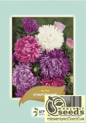 Астра Очарование (смесь) 0,3г А