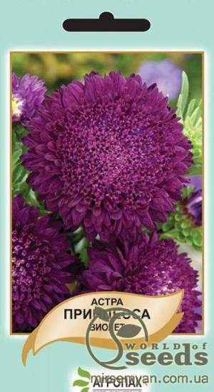 Астра Принцесса виолет 0,2г А Астра Принцесса виолет 0,2г А