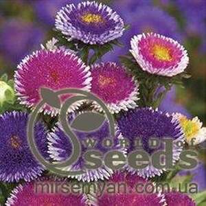 Астра Лунный свет 0,2г А