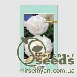 Бегония крупно-цветковая (белая), 20 семян А
