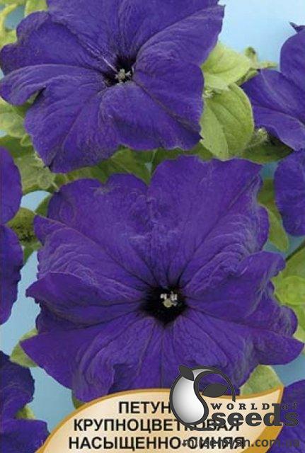Петуния великокв. насыщенно-синяя 50н А Петуния великокв. насыщенно-синяя 50н А