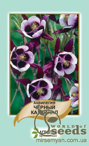 Аквилегия Черный кардинал 0,1г А Аквилегия Черный кардинал 0,1г А