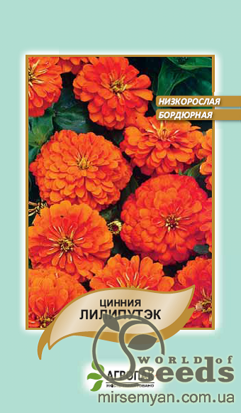 Циния Лилипутек оранжевая 0,2г А Циния Лилипутек оранжевая 0,2г А