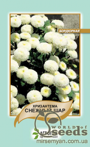 Хризантема Снежный шар 0,05г