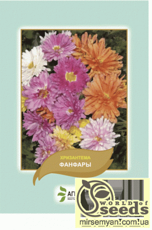 Хризантема Фанфари смесь 0,1г А Хризантема Фанфари смесь 0,1г А