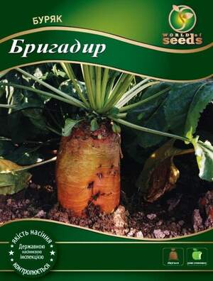 Свекла Бригадир кормовая 300г  WoS Свекла Бригадир кормовая 300г  WoS