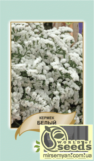 Кермек выемчатый белый 0,2г А Кермек выемчатый белый 0,2г А