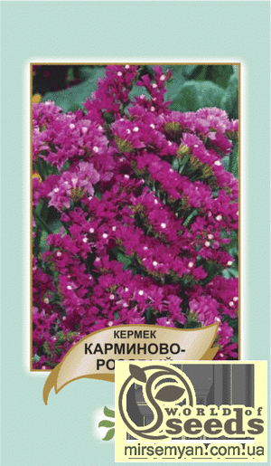 Кермек выемчатый белый 0,2г А Кермек выемчатый белый 0,2г А