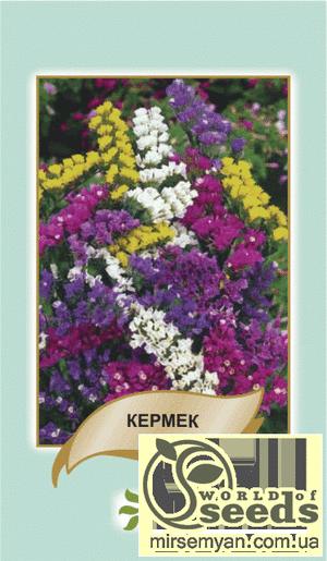 Кермек выемчатый белый 0,2г А