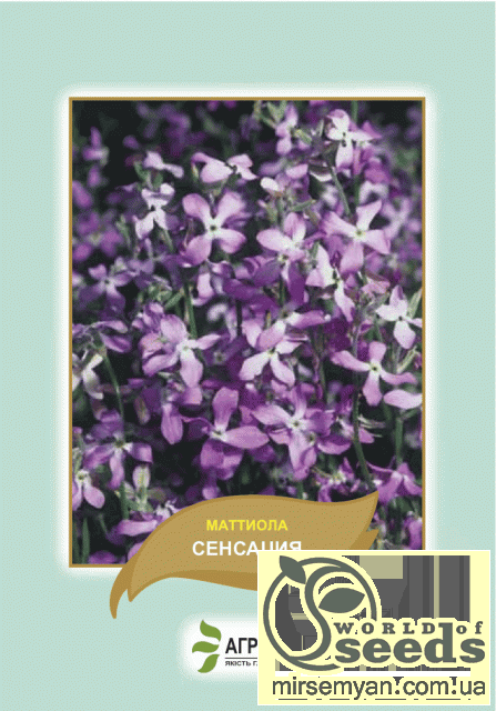 Матиола дворога Сенсация 0,5г А Матиола дворога Сенсация 0,5г А