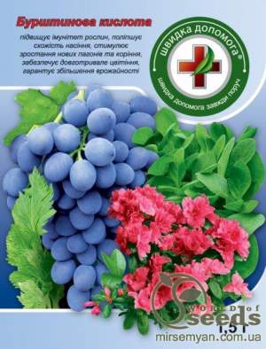 Янтарная кислота (регулятор роста) 1,5г