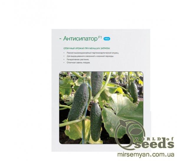 Огурец Антисипатор F1 500 семян. (Nunhems) Огурец Антисипатор F1 500 семян. (Nunhems)