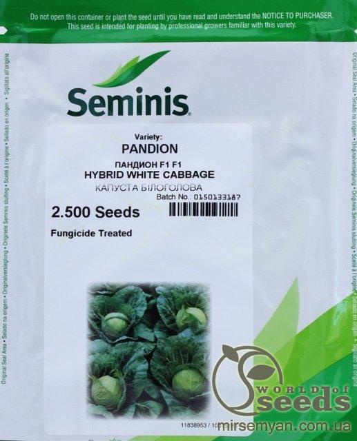 Капуста Пандион F1 2500 семян. (Seminis) Капуста Пандион F1 2500 семян. (Seminis)