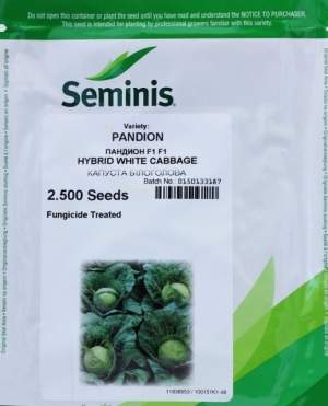 Капуста Пандион F1 2500 семян. (Seminis)