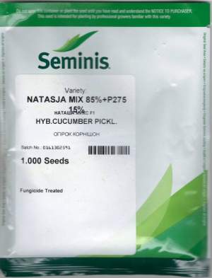Огурец Наташа F1 1000 семян. (Seminis) Огурец Наташа F1 1000 семян. (Seminis)