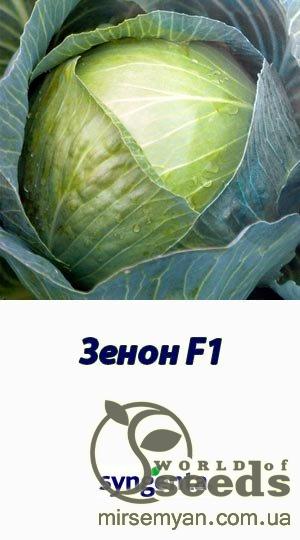 Капуста Зенон F1  2500 семян. (Syngenta)