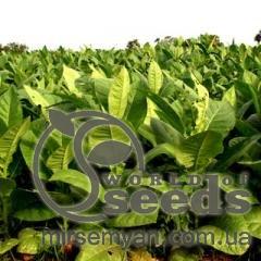 Табак Вирджиния Голд 1г! Табак Вирджиния Голд 1г!