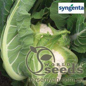 Капуста цветная Гохан 2500 семян. (Syngenta) Капуста цветная Гохан 2500 семян. (Syngenta)