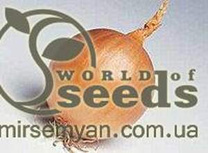 Лук Банко 250 000 семян. (Syngenta) Лук Банко 250 000 семян. (Syngenta)