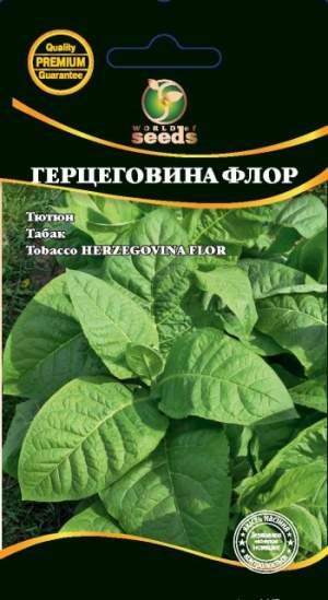 Семена табака 