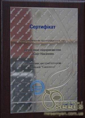 Помидоры Мамстон 500 семян. (Syngenta)