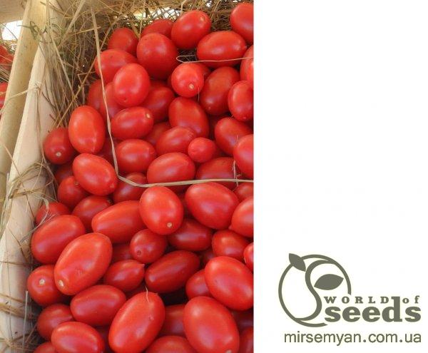 Помидоры Санмино F1 1000 семян. (Syngenta) Помидоры Санмино F1 1000 семян. (Syngenta)