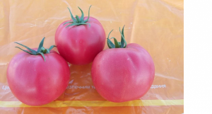 Помидоры Хэпинет F1 1000 семян. (Syngenta)