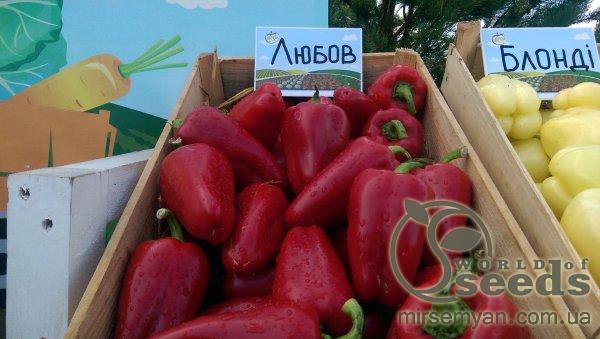 Перец Любовь 500 семян. (Syngenta) Перец Любовь 500 семян. (Syngenta)