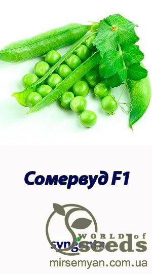 Горох Сомервуд 100 000 семян. (Syngenta) Горох Сомервуд 100 000 семян. (Syngenta)